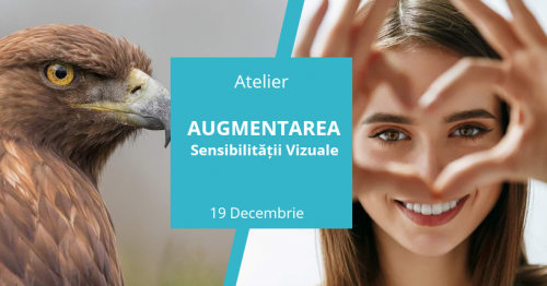 Atelier - Augumentarea sensibilitatii vizuale
